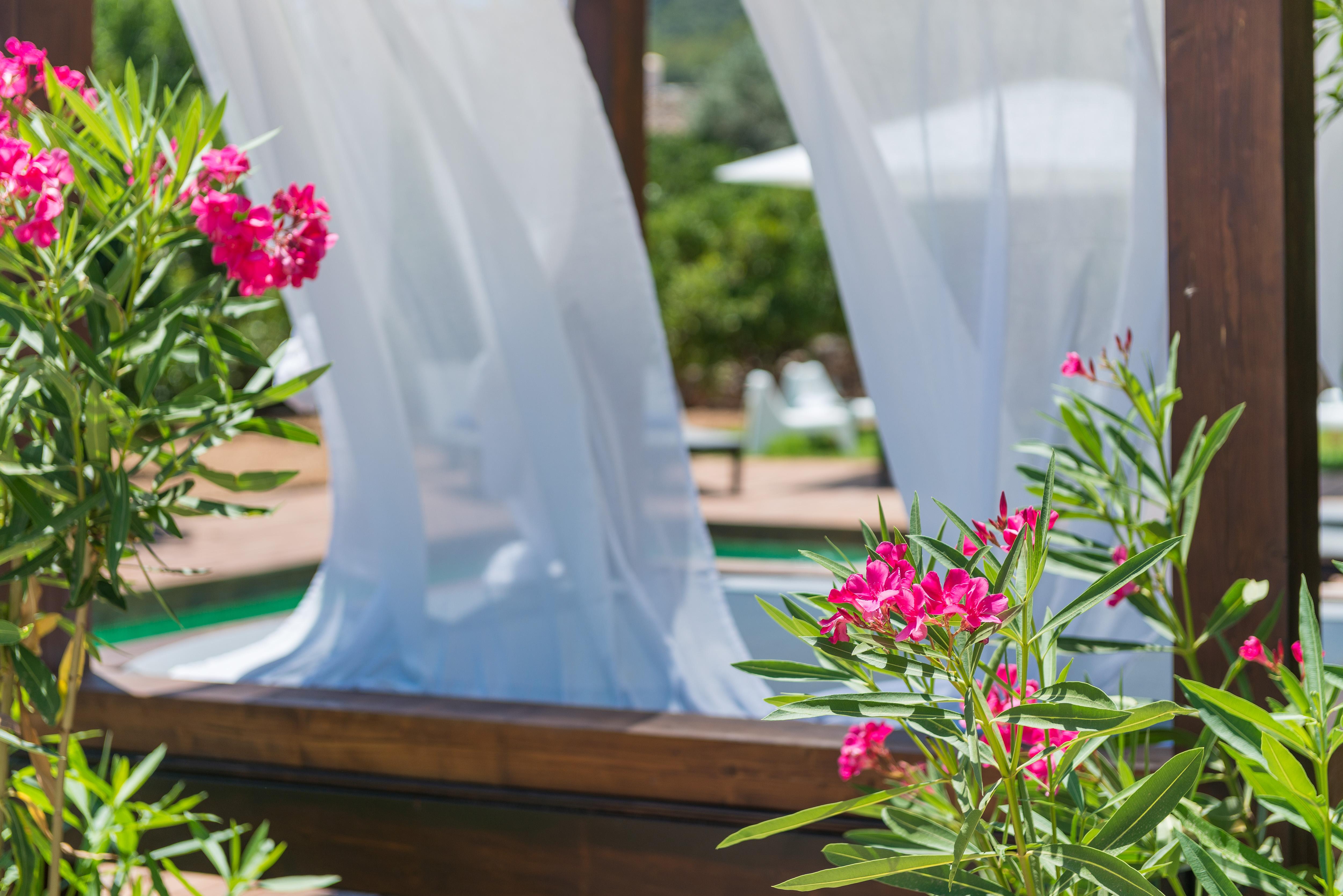 Hotel Turixant Mancor del Valle Exterior photo